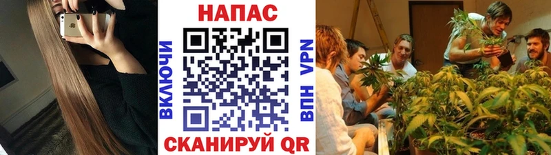 Канабис гибрид  это наркотические препараты  Асбест  сколько стоит 